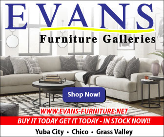 Evans Furniture Galleries Ad 