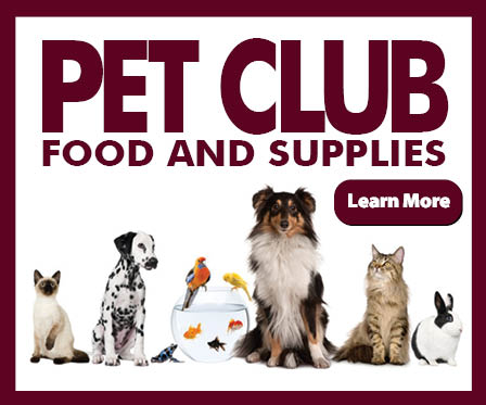 Pet Club Food and Supplies Ad 