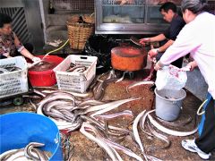 Large live eels don’t get much fresher than at a Hong Kong street market. Photo by David Dickstein