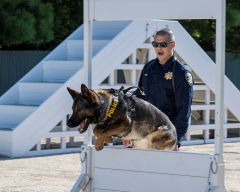Officer Alexander Frazer demonstrates the training and obedience involved for certification during a ceremony at the Canine Training Facility on the CHP Academy grounds. Photo courtesy of CHP